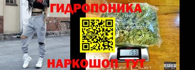 крисы Усть-Джегута