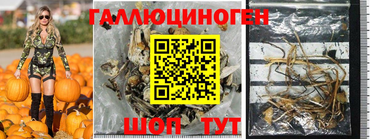 Воркута  Галлюциногенные грибы MAGIC MUSHROOMS  Вход с VPN 