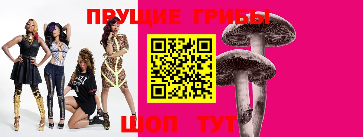 Галлюциногенные грибы Psilocybe Воркута